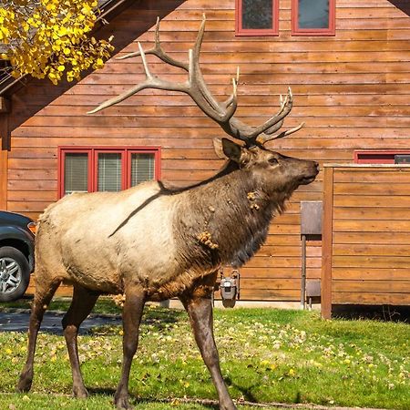 Rams Horn Village Resort Estes Park Esterno foto