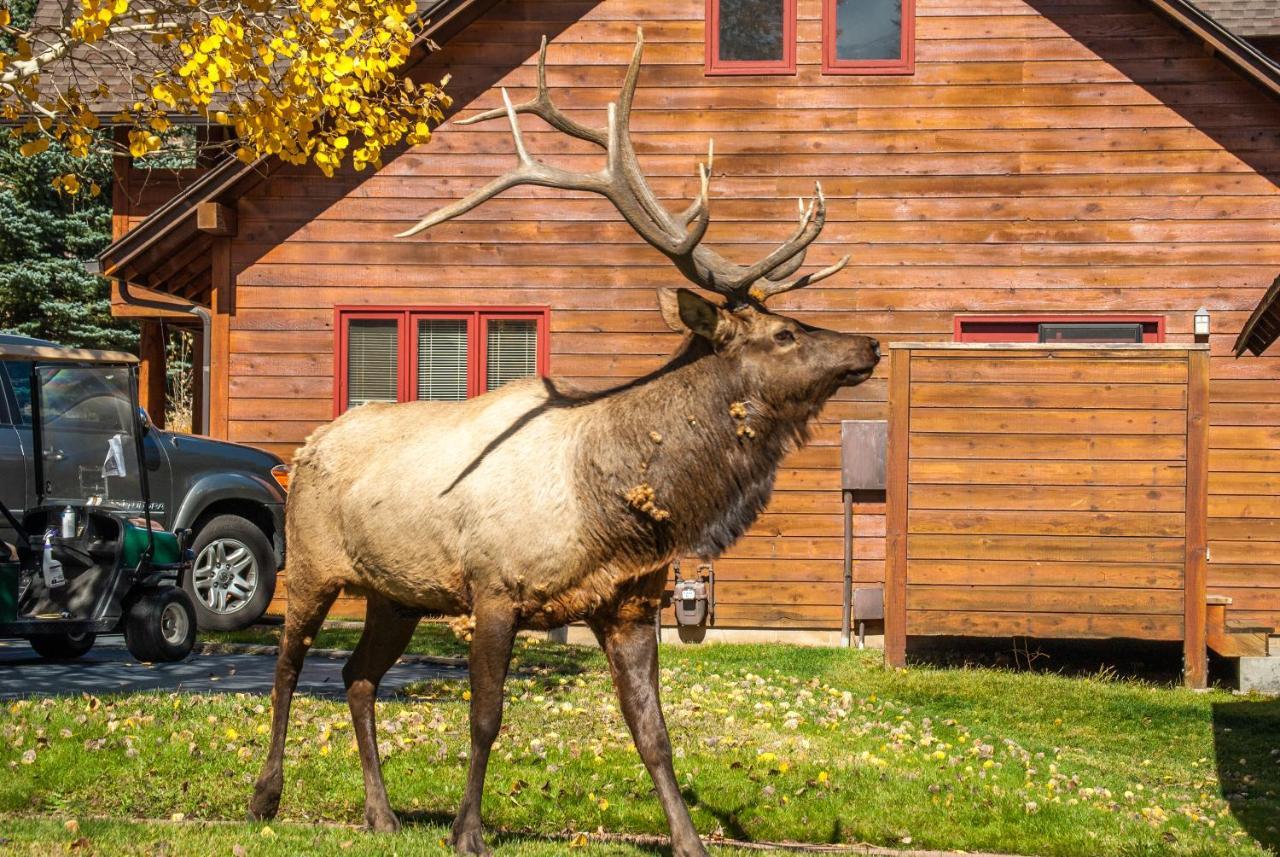 Rams Horn Village Resort Estes Park Esterno foto